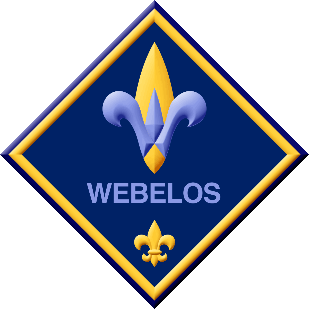 Dens Cub Scout Pack 229